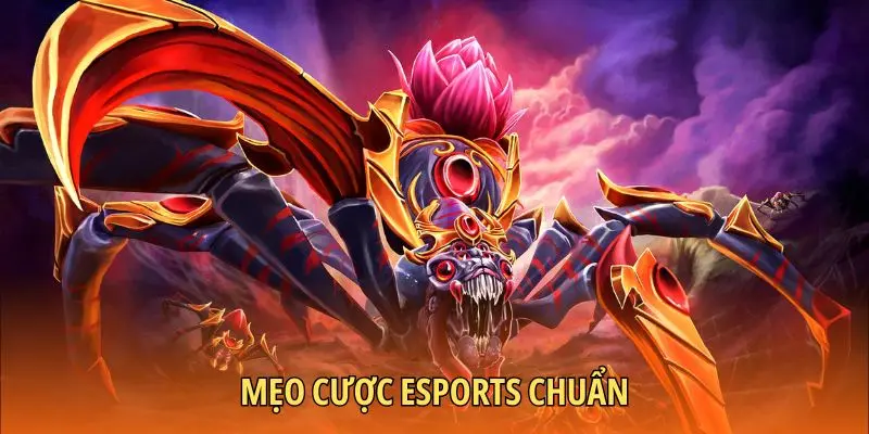 Mẹo cược esports chuẩn