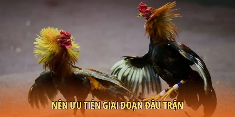 Nên ưu tiên giai đoạn đầu để vào kèo